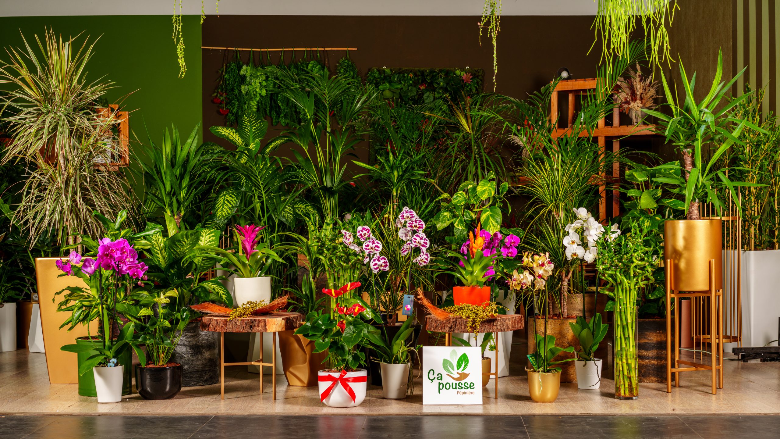 Plante Artificielle Interieur Tropicale – Ma déco plantes